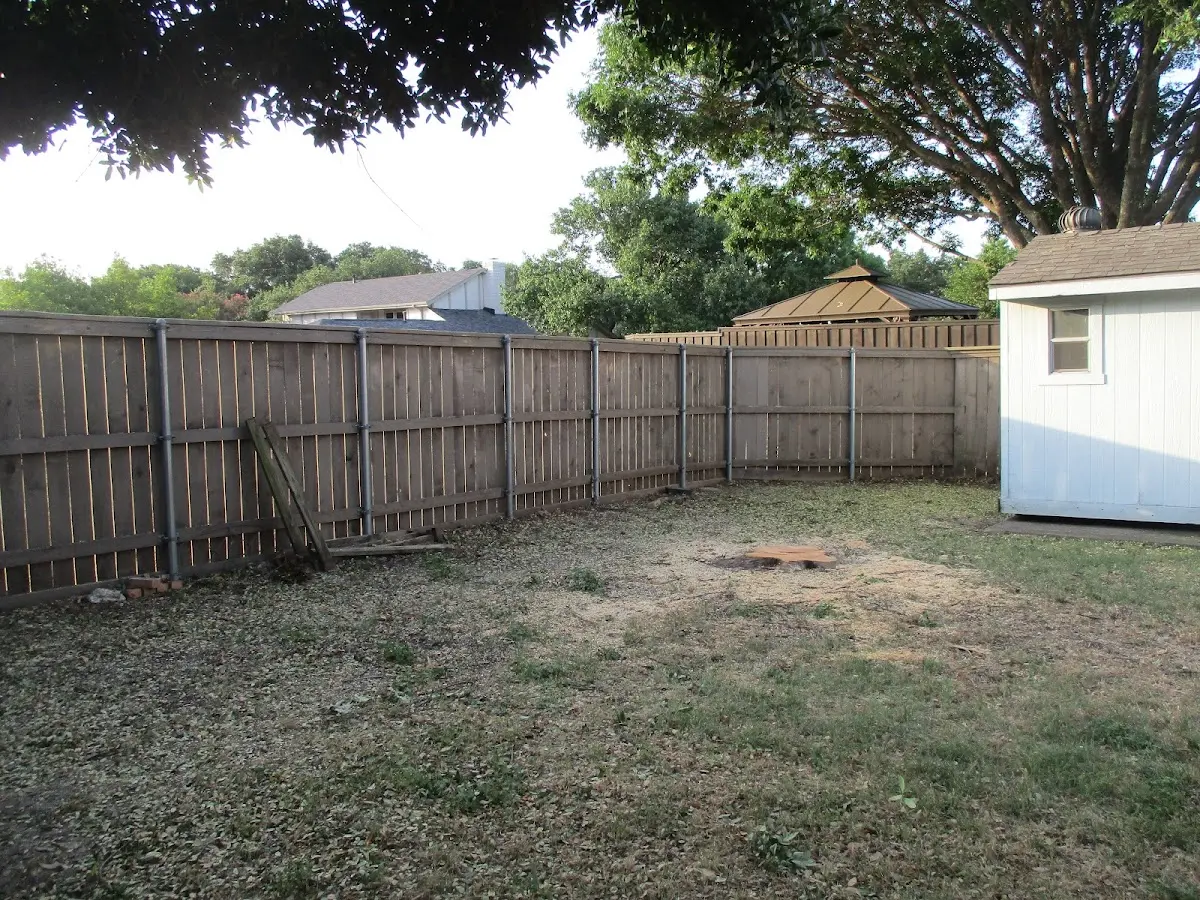 Cleared yard after professional tree removal in Strawberry Plains